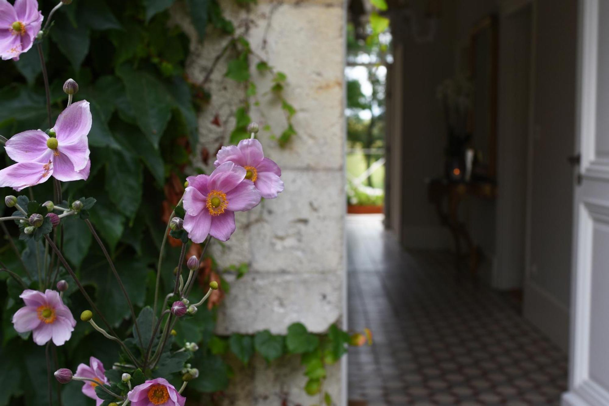 Domaine De L'Ermitage Bed & Breakfast Berry-Bouy Exterior photo